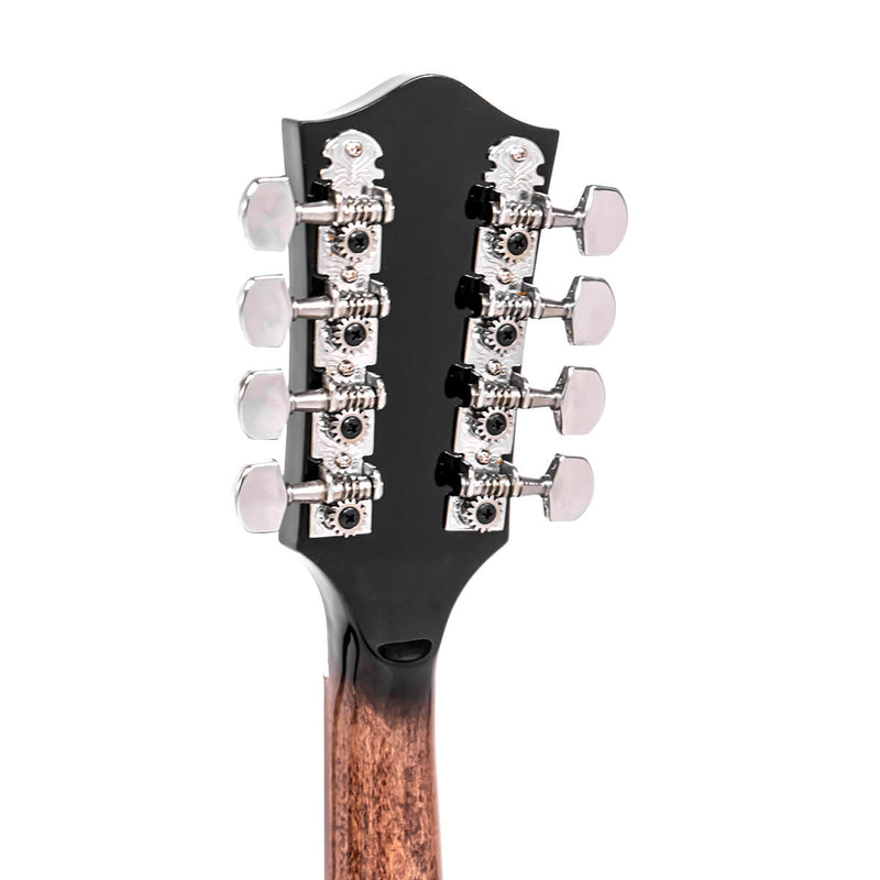 Gold Tone MB-850+: Mandolin-Banjo with Bag