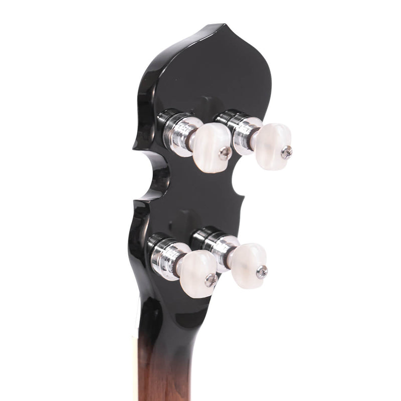 Gold Tone IT-250: Irish Tenor Banjo with Case
