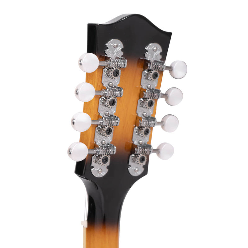 Gold Tone GM-50+: A-Style Mandolin with Pickup and Bag