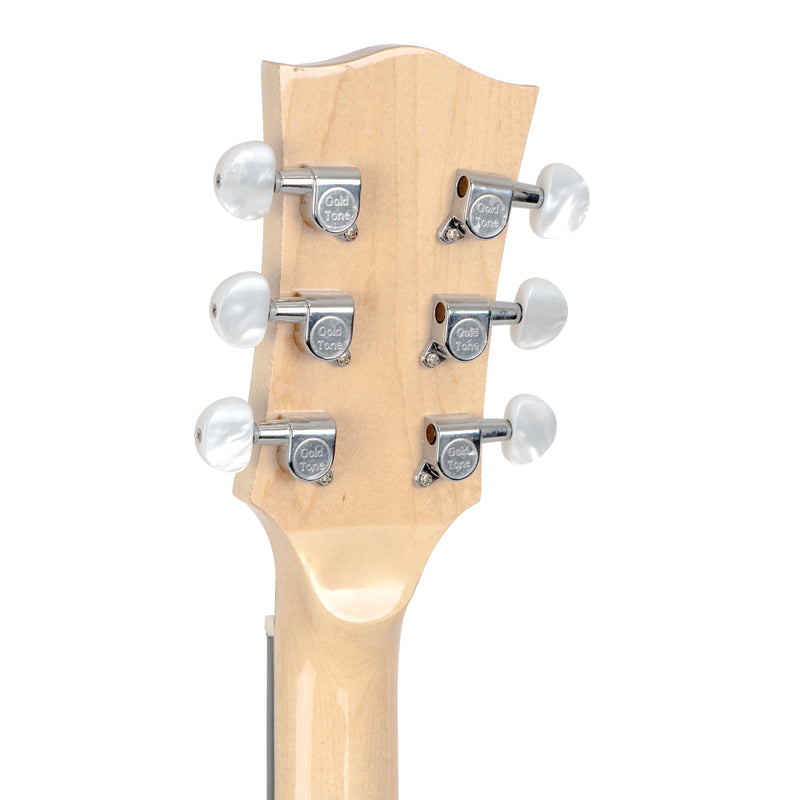 Gold Tone GT-500: Banjitar with Case