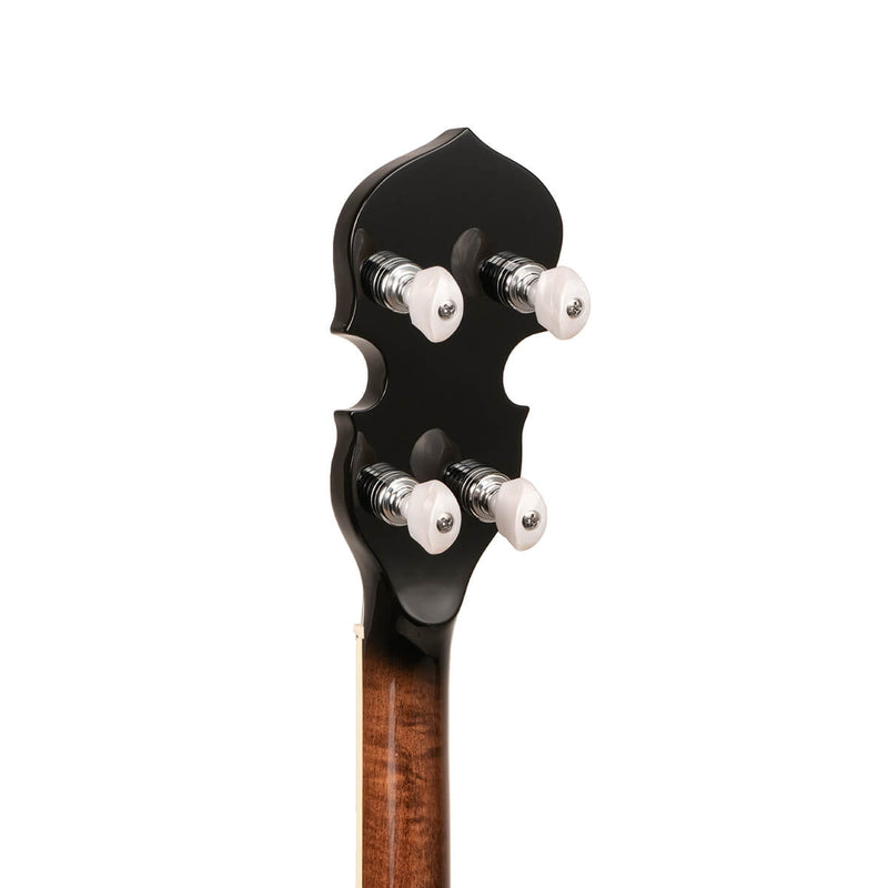 Gold Tone TS-250: Tenor Special Banjo with Case