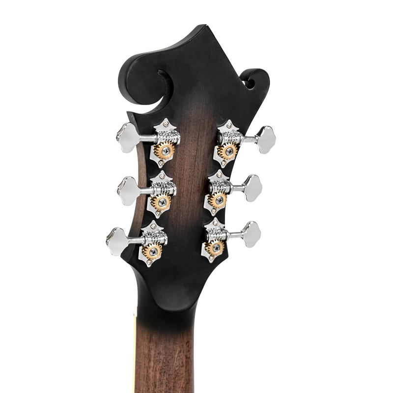 Gold Tone F-6: F-style Mando-Guitar with Pickup and Case