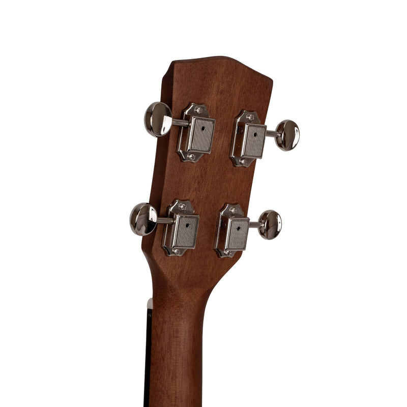 Gold Tone TG-10: Tenor Guitar with Gig Bag
