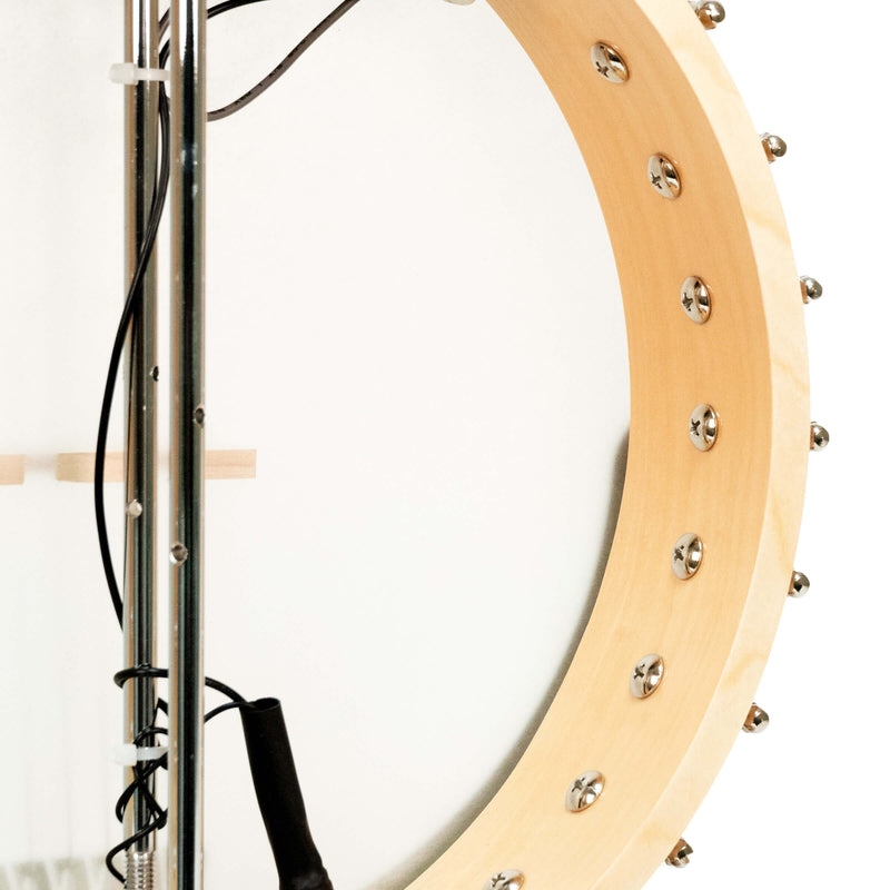 Gold Tone  BT-1000: 6-String Banjitar with Pickup and Bag