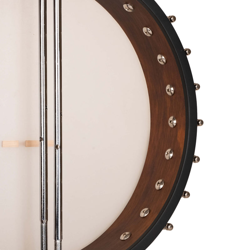 Gold Tone  IT-17: Irish Tenor Banjo with 17 Frets and Gig Bag