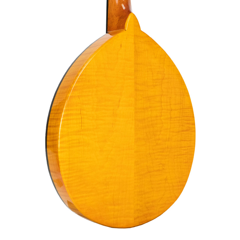 Gold Tone GM-10: Frypan Mandolin with Case