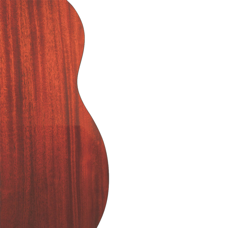 Gold Tone BZ-1000: Guitar-Bodied Bouzouki Mandolin with Case