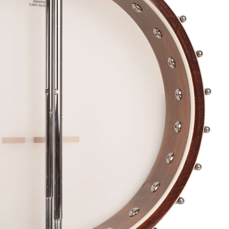Gold Tone Mastertone™ WL-250: White Ladye Banjo with Case