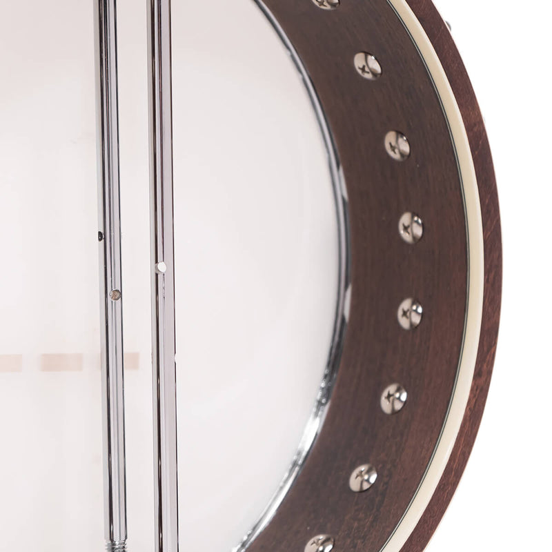 Gold Tone IT-250: Irish Tenor Banjo with Case