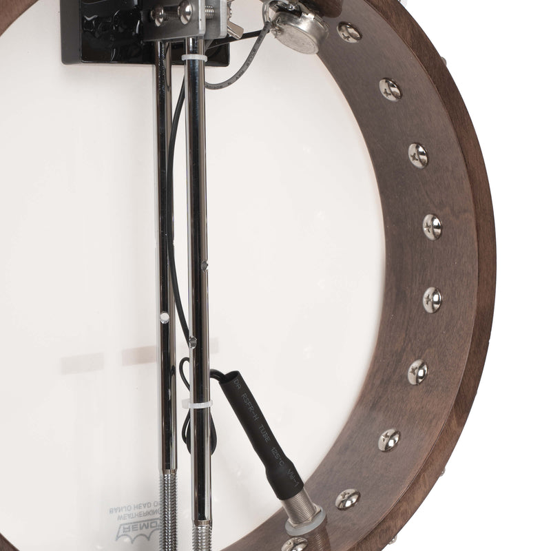 Gold Tone CC-100+: Cripple Creek Banjo Upgraded with Pickup and Gig Bag