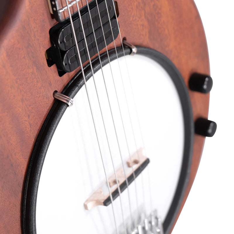 Gold Tone EB-6: Electric Banjitar with Gig Bag