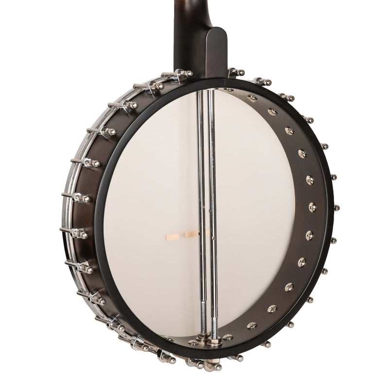Gold Tone  IT-19: Irish Tenor Banjo with 19 Frets and Gig Bag
