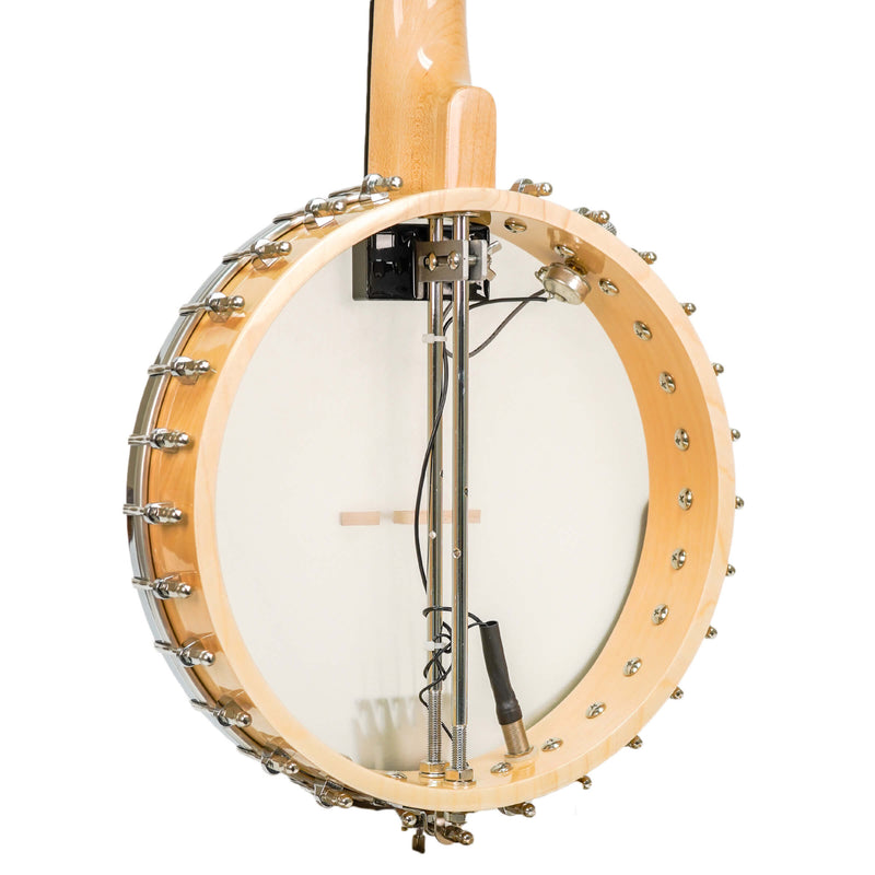 Gold Tone  BT-1000: 6-String Banjitar with Pickup and Bag