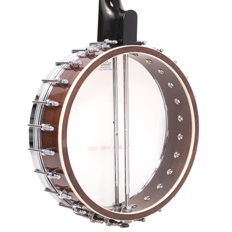 Gold Tone IT-250: Irish Tenor Banjo with Case