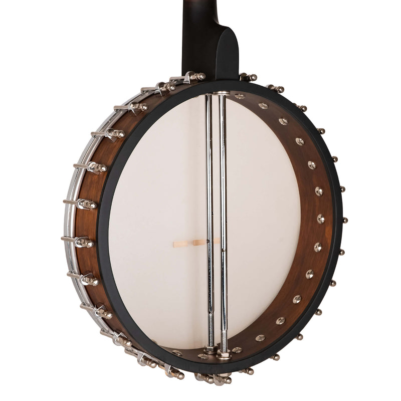 Gold Tone  IT-17: Irish Tenor Banjo with 17 Frets and Gig Bag