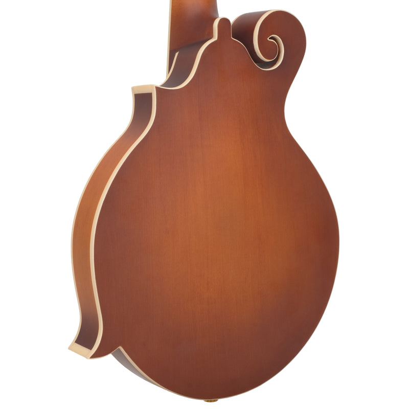 Gold Tone F-10: 10-String F-Style Mandolin with Pickup and Case