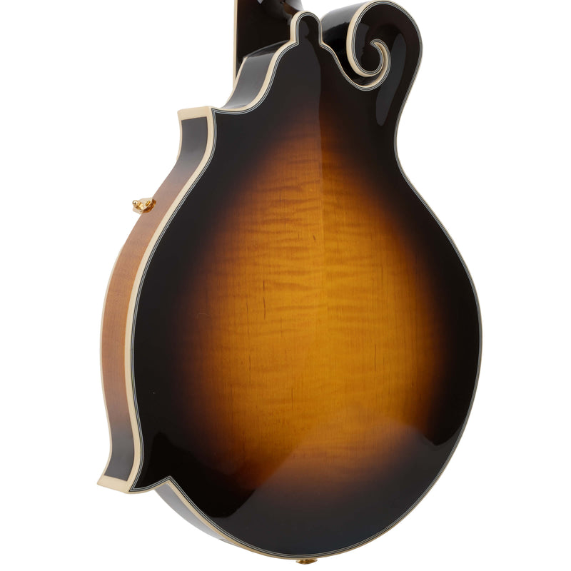 Gold Tone F-6+: F-style Mando-Guitar with Pickup, Volume Control, and Case