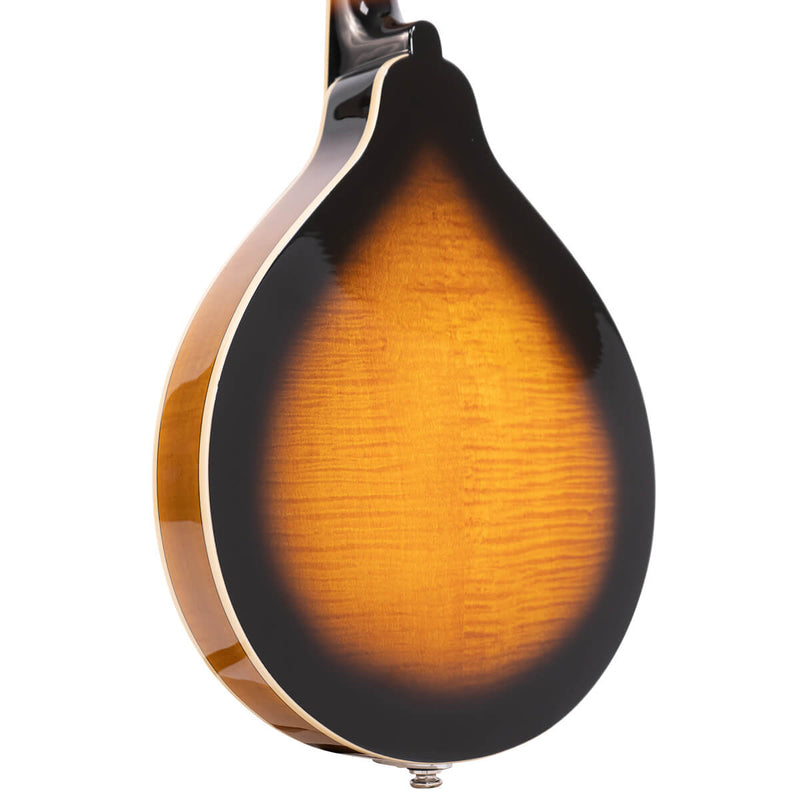 Gold Tone GM-50+: A-Style Mandolin with Pickup and Bag