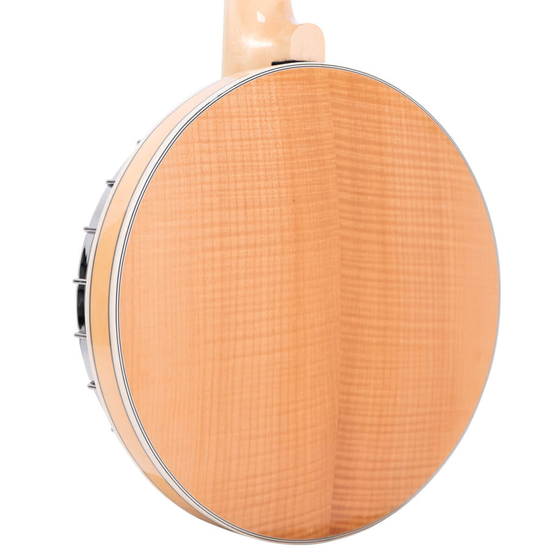Gold Tone GT-750: Banjitar Deluxe with Case