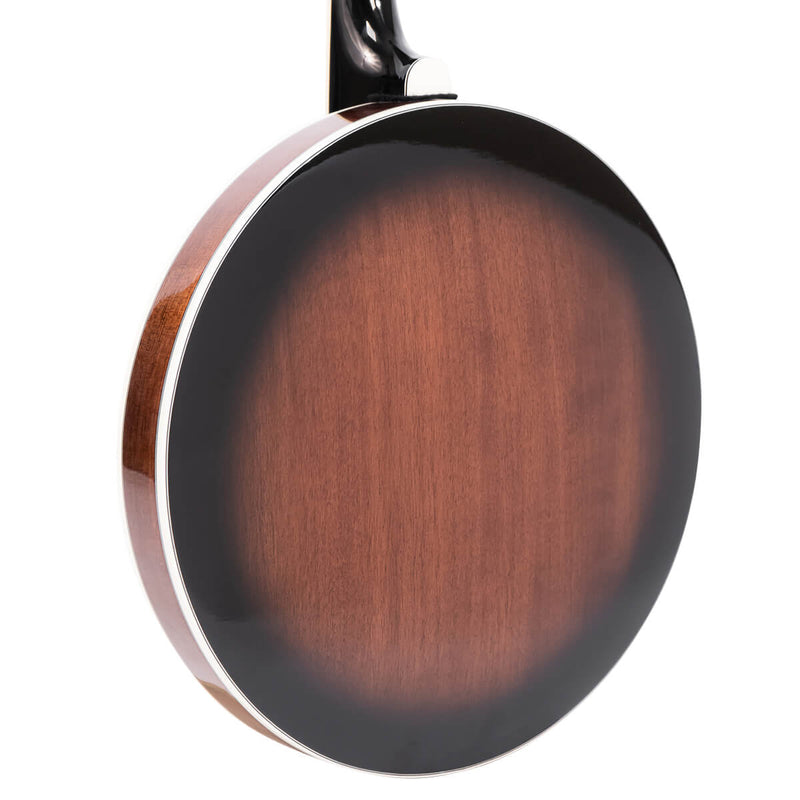 Gold Tone Mastertone™ IT-250F: Irish Tenor Banjo with Flange and Case