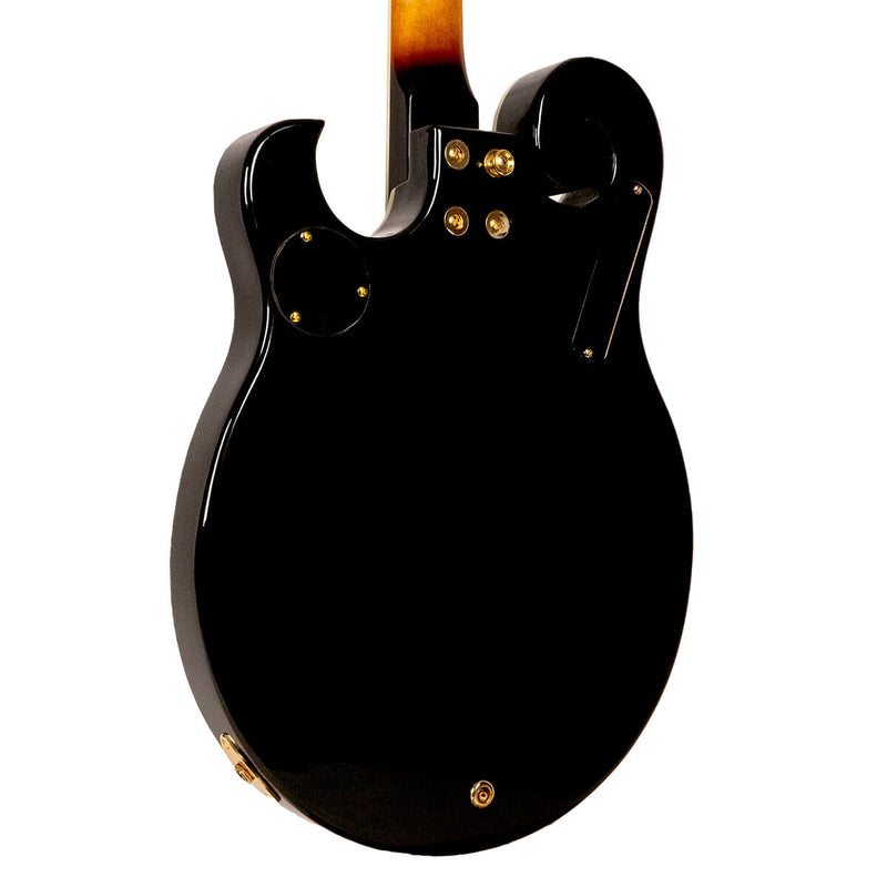 Gold Tone EBM-5: Electric Banjo
