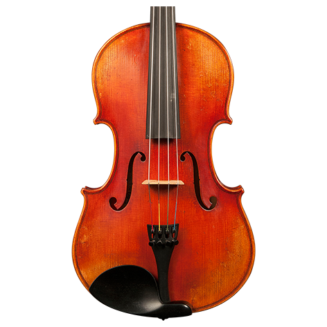 GVC NICOLAS PAROLA AP30E VIOLA