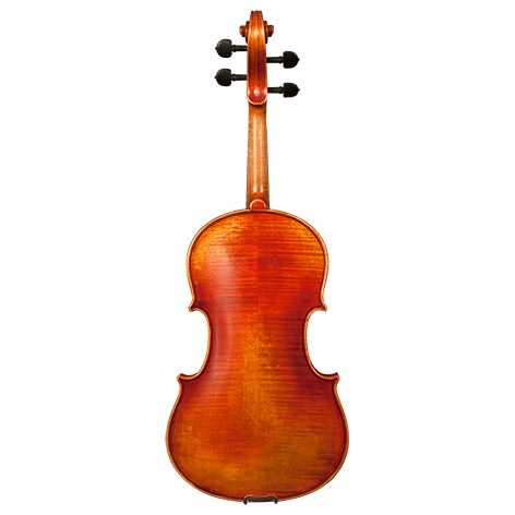 GVC NICOLAS PAROLA AP30E VIOLA