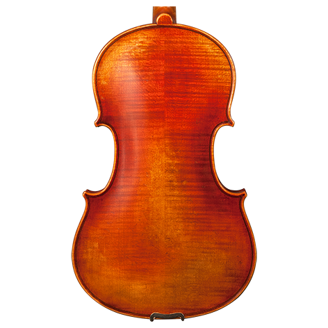 GVC NICOLAS PAROLA AP30E VIOLA