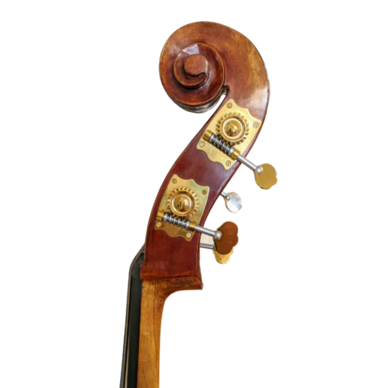 Nicolas Parola VB5 Bass