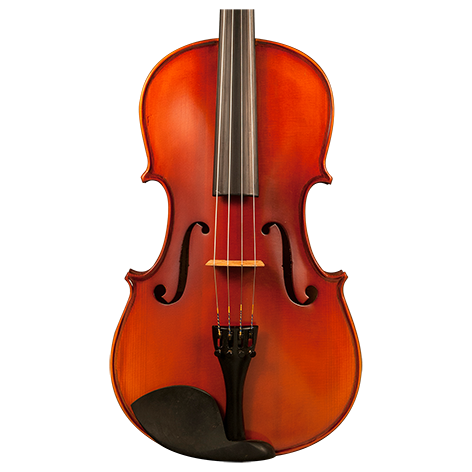 GVC AMETTO CA100 VIOLA OUTFIT