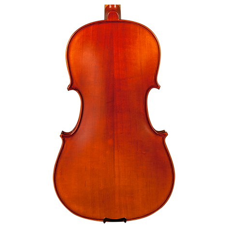 GVC AMETTO CA100 VIOLA OUTFIT