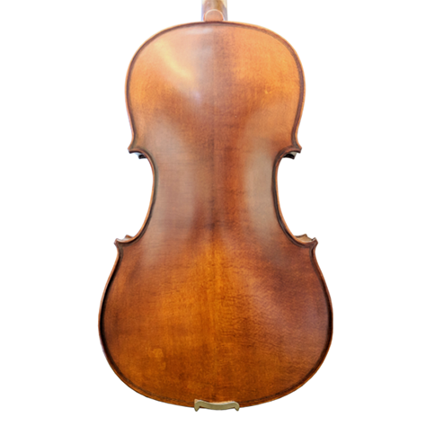 GVC AMETTO CA150 VIOLA OUTFIT