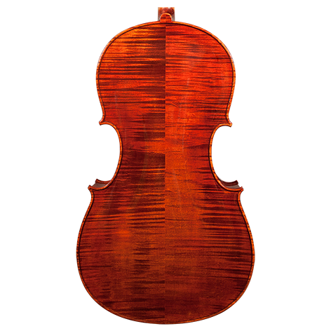 GVC NICOLAS PAROLA CP10 CELLO