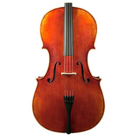 GVC NICOLAS PAROLA CP30E CELLO