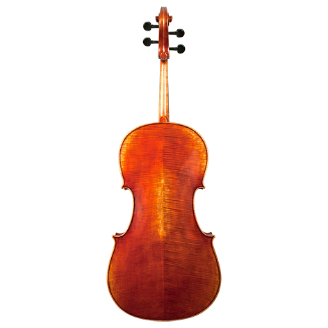 GVC NICOLAS PAROLA CP30E CELLO