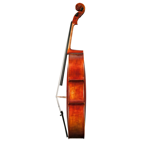 GVC NICOLAS PAROLA CP30E CELLO