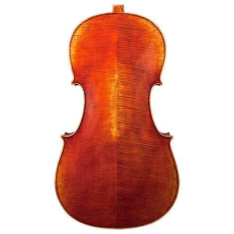 GVC NICOLAS PAROLA CP30E CELLO