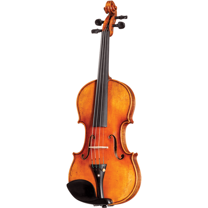 Howard Core Select CS2000-GOLDMAN Model Violin Outfit