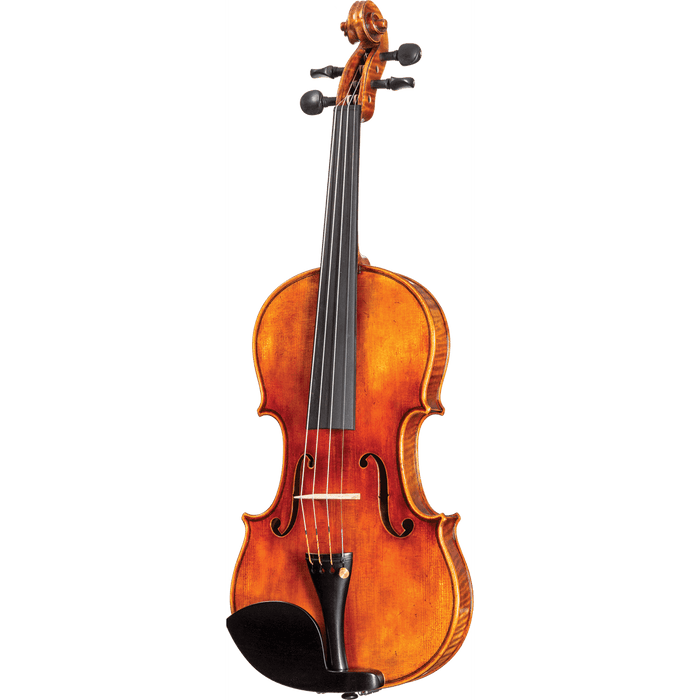 Howard Core Select CS2000-LACATHEDRALE Model Violin Outfit