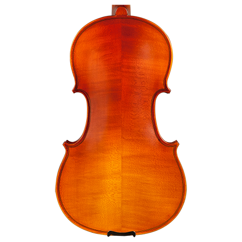 Ametto CV150 Violin Outfit