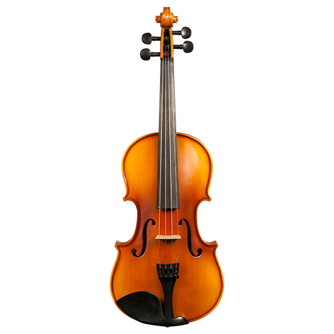 GVC H. LUGER CV301 VIOLIN OUTFIT