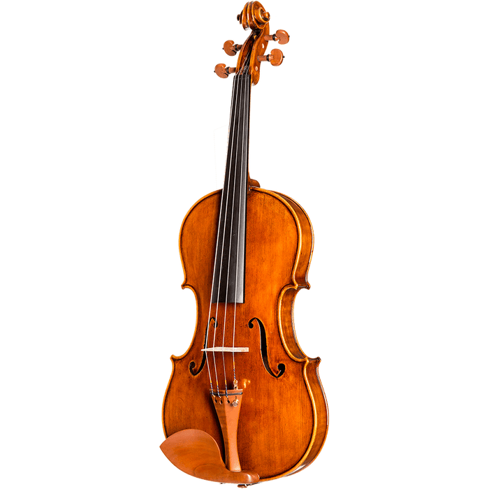 Howard Core Dragon DR10 Model Viola