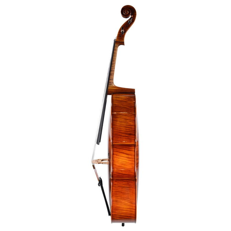 Ming Jiang Zhu 907 Cello Outfit