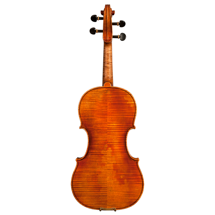 GVC NICOLO MARCASI VIOLIN