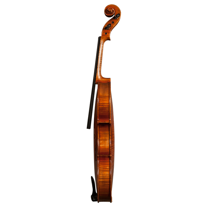 GVC NICOLO MARCASI VIOLIN