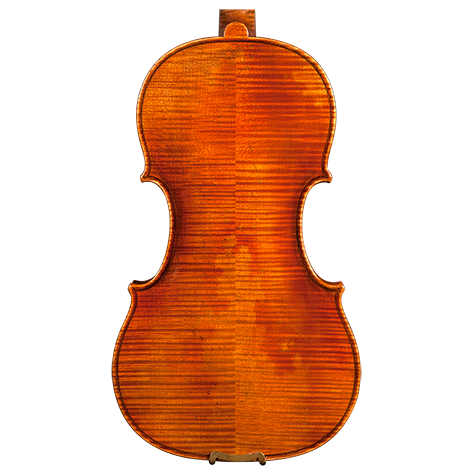 GVC NICOLO MARCASI VIOLIN