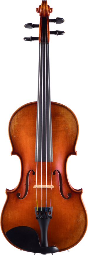 Nicolas Parola NP30E Violin