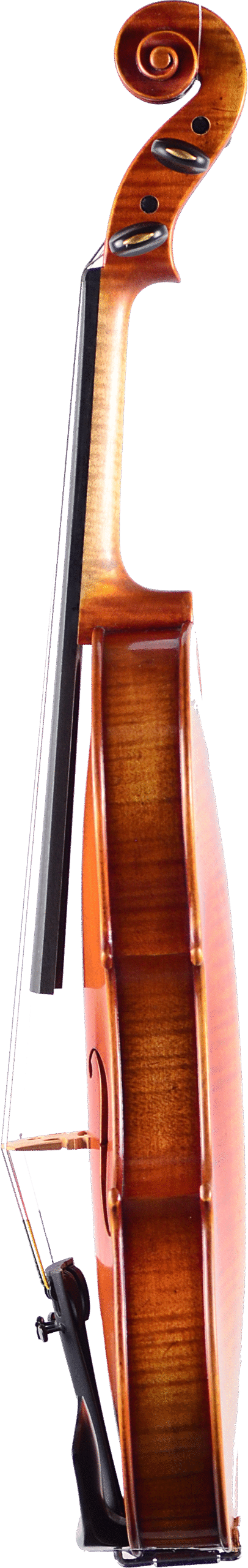 Nicolas Parola NP30E Violin