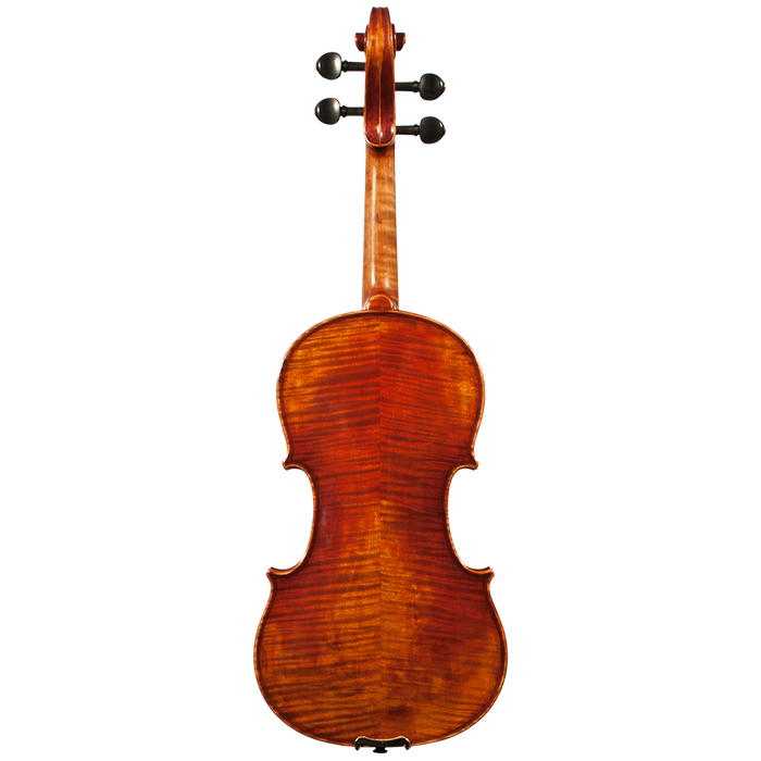 GVC NICOLAS PAROLA NP30N VIOLIN