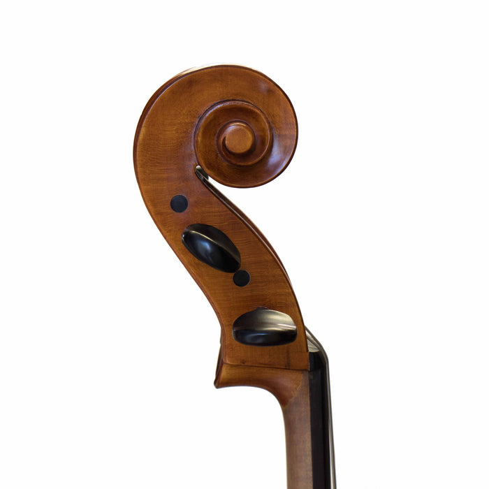 GVC KCC R31CM CELLO